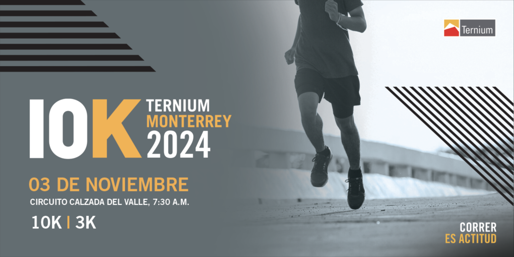 10K Ternium 2024